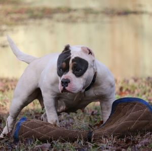 Meet your Posher, Carl